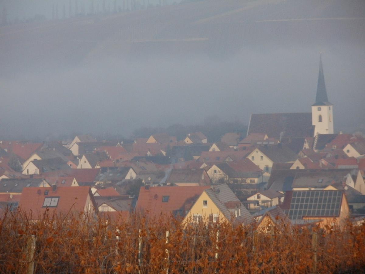 Gaestehof - Weinbau Saeger Nordheim am Main Buitenkant foto