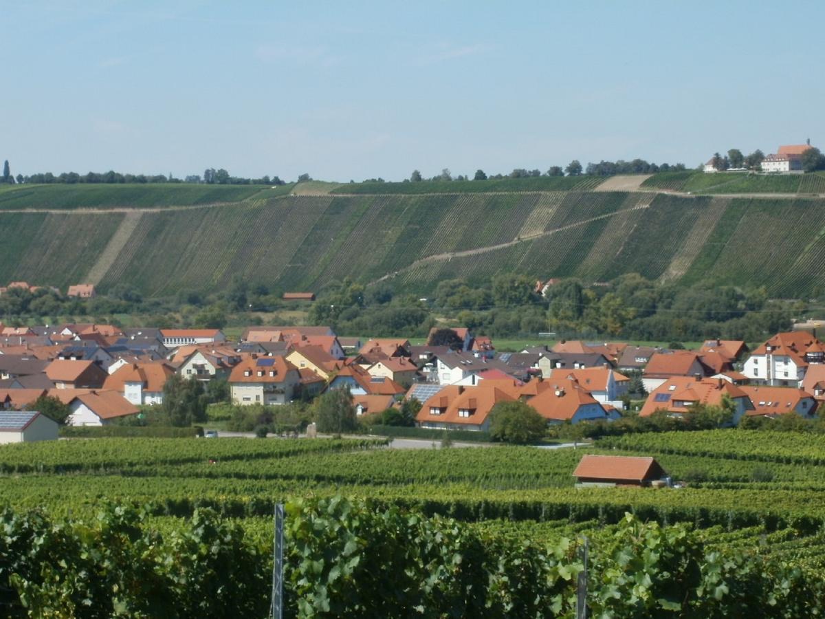 Gaestehof - Weinbau Saeger Nordheim am Main Buitenkant foto
